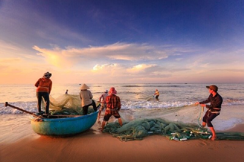 Nghề nuôi tôm hùm khá cực nhọc