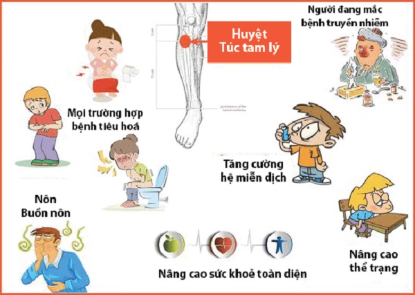 Tác dụng lớn đến sức khoẻ của huyệt túc tam lý