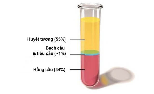 Huyết tương giàu tiểu cầu (PRP) được vận dụng rộng rãi trong thực hành y học