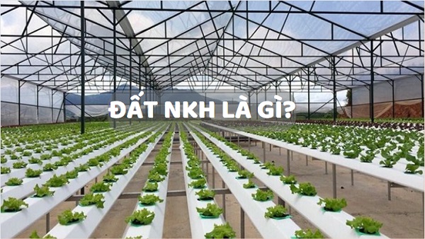 nkh là loại đất gì