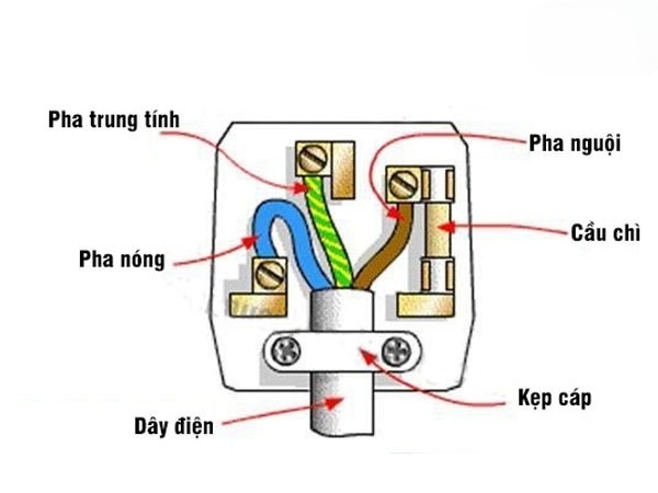 Cách nối dây điện 3 lõi vào phích cắm