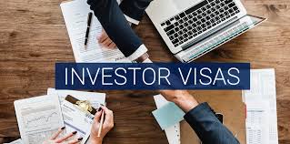 What is an Investor visa?