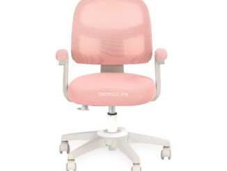 Lưu ý khi chọn mua ghế học sinh