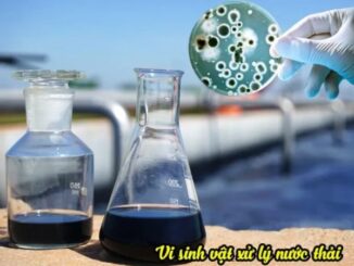 Chế phẩm vi sinh xử lý nước thải vượt trội