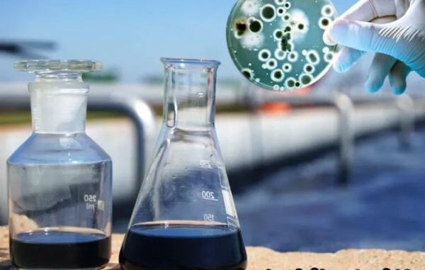 che-pham-vi-sinh-xu-ly-nuoc-thai-00 Chế phẩm vi sinh xử lý nước thải vượt trội