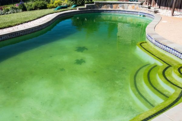 Bể bơi chuyển sang màu xanh đục gây mất thẩm mỹ