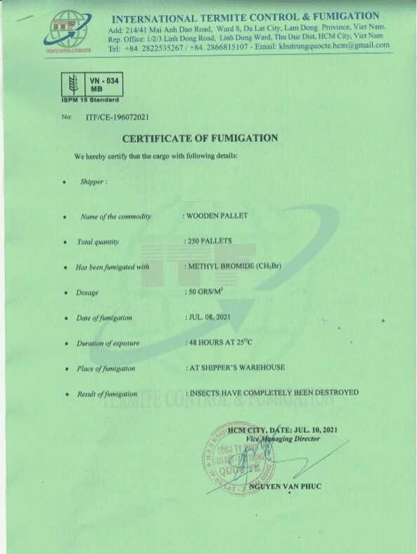 dong-goi-hang-hoa-xuat-khau-1