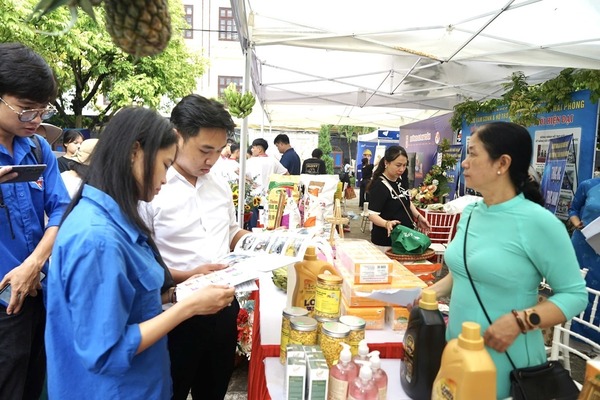 Cách xây dựng gian hàng ngày hội việc làm chuyên nghiệp và hiệu quả