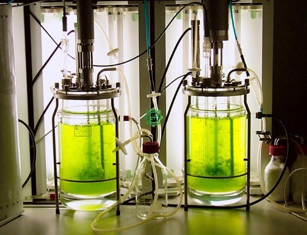 Giới thiệu chung về Bioreactor