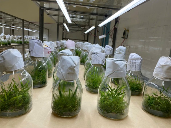 Phân loại Bioreactor theo cấu trúc lưu thông dòng