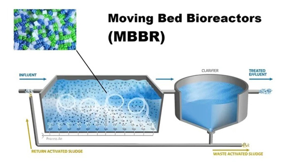 Phân loại Bioreactor theo cấu trúc bề mặt sinh học
