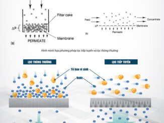 Ứng dụng của lọc tiếp tuyến vi lọc MF