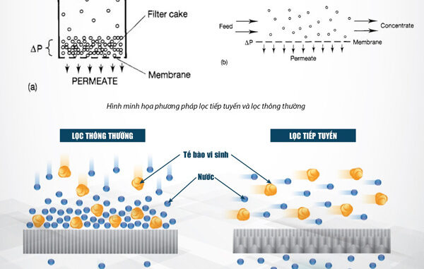 Ứng dụng của lọc tiếp tuyến vi lọc MF