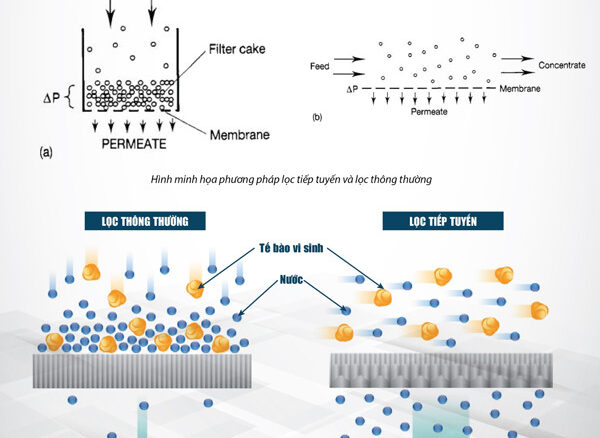 Ứng dụng của lọc tiếp tuyến vi lọc MF